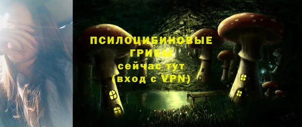 героин Алексин