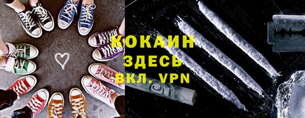 хмурый Алзамай
