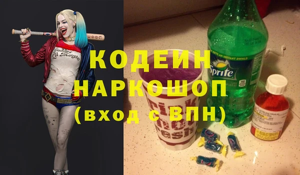 хмурый Алзамай
