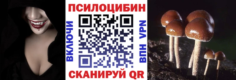 Галлюциногенные грибы Psilocybe  купить наркотики цена  Кудрово 